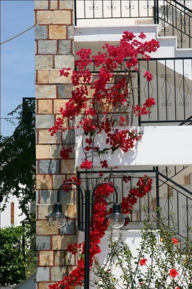 Agar Apart Hotel Гюмбет Екстериор снимка